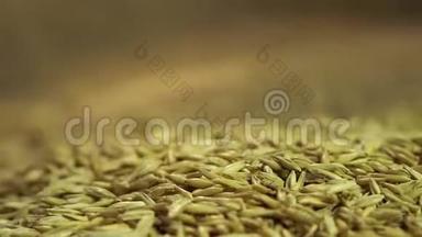 优质燕麦种子落在麻布上，农产品出售